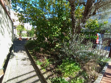 Foto Appartamento a Pisa Ospedaletto di 80 m² con 4 locali in vendita