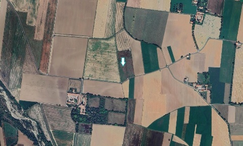 Foto Terreno agricolo a Casalnoceto di 21100 m² in vendita
