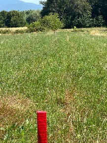 Foto Terreno agricolo a Casciana Terme Lari Quattro Strade di 1500 m²