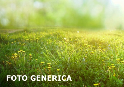 Foto Terreno agricolo a San Miniato Cigoli, La Serra, Bucciano, Balconevisi