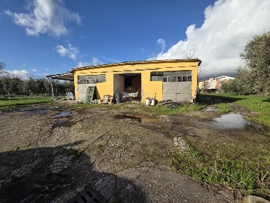 Foto Cessione attività a Capannori Lammari - Lunata di 600 m² con 1 locali