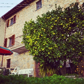 Foto Case semi ndipendenti a Camaiore Camaiore Paese di 200 m² con 7 locali