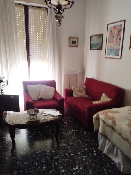 immagine annuncio 3 di 7