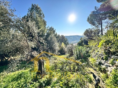 Foto Terreno residenziale in Via Pianacci 23, Montesilvano di 2550 m²