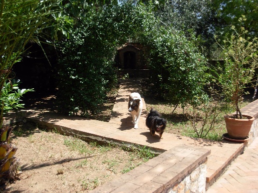 immagine annuncio 5 di 9