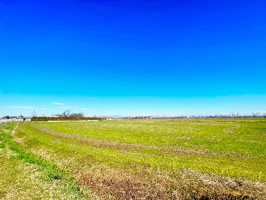 Foto Terreno agricolo a Comazzo di 36000 m² in vendita