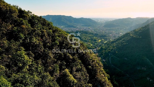 Foto Terreno agricolo in Località Candalla, Camaiore Camaiore Paese
