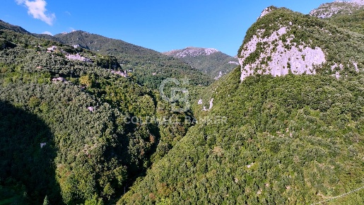 Foto Terreno agricolo in Località Candalla, Camaiore Camaiore Paese