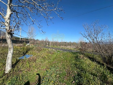 Foto Terreno agricolo in via Vicinale Mauro Vecchio, Terzigno di 1956 m²