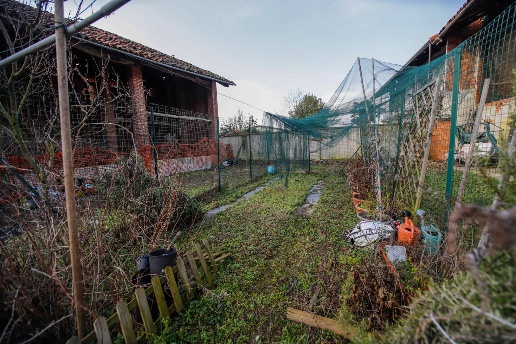 immagine annuncio 10 di 15