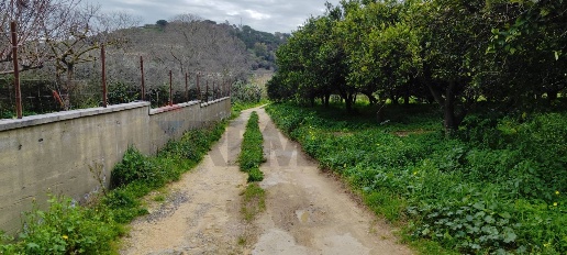 Foto Terreno agricolo in c.da Piano della Croce SN, Grammichele di 12698 m²
