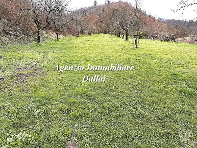 Foto Rustico in Loc. La Luna Novoli, Scarperia e San Piero di 350 m²