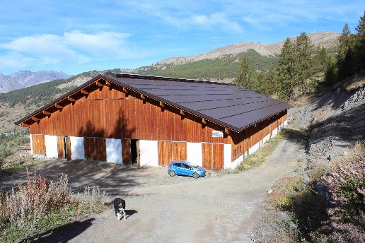 immagine annuncio 1 di 10