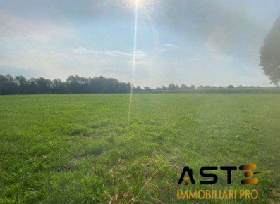 Foto Terreno in Via Basse, Tezze sul Brenta Tezze di 56244 m² in vendita