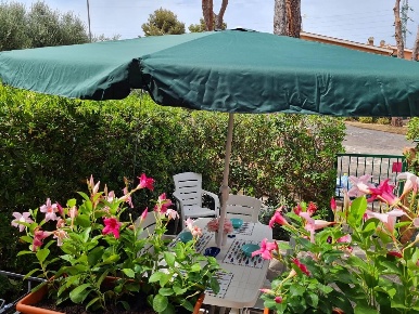 Foto Appartamento a Rio Centro di 30 m² con 1 locali in affitto