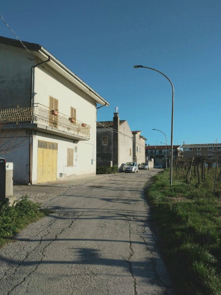 immagine annuncio 2 di 11