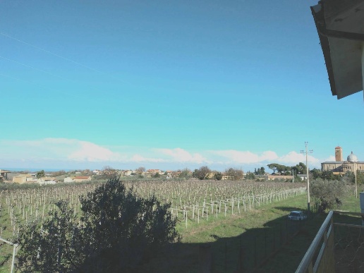 immagine annuncio 6 di 11