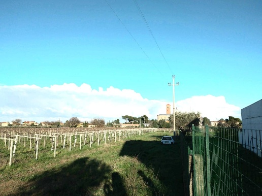 immagine annuncio 7 di 11