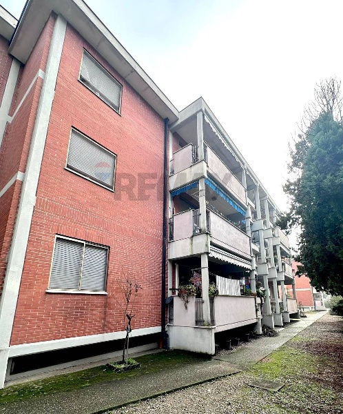 immagine annuncio 5 di 7