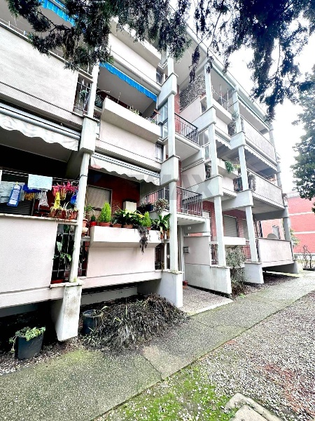 immagine annuncio 6 di 7