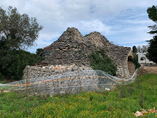 immagine annuncio 2 di 11