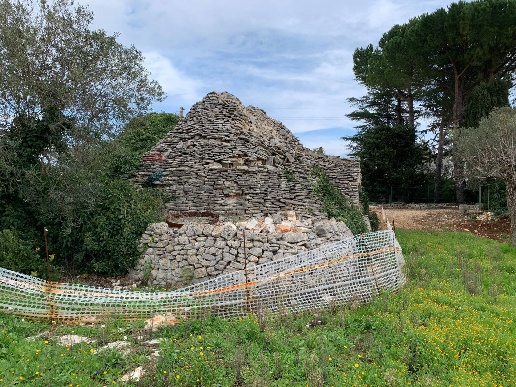 immagine annuncio 3 di 11