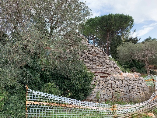 immagine annuncio 4 di 11