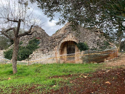 immagine annuncio 5 di 11