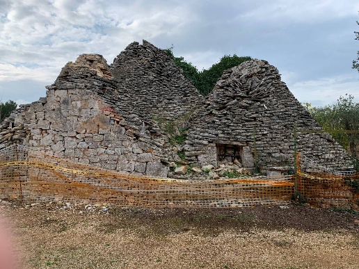 immagine annuncio 9 di 11