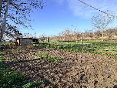 Foto Terreno agricolo in via san bernardo, Chiaravalle di 6000 m²