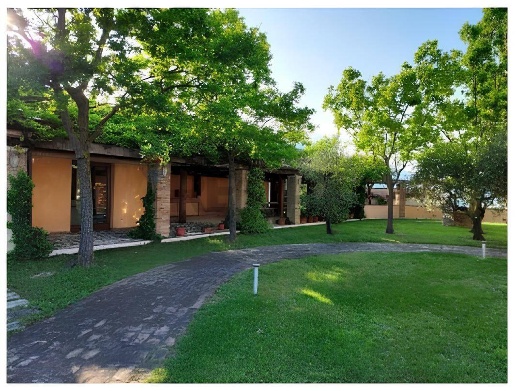 immagine annuncio 4 di 8