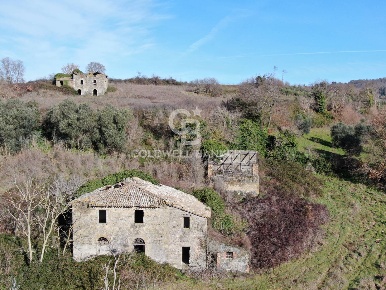 Foto Rustico in Località Le Puzzole snc, Latera di 570 m² con 3 locali