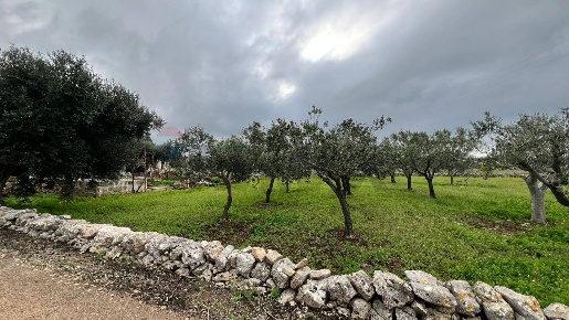 Foto Terreno residenziale a Polignano a Mare di 4984 m² in vendita
