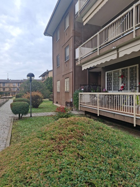 immagine annuncio 1 di 15