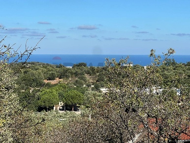 Foto Terreno agricolo a Monopoli Cozzana di 6765 m² in vendita