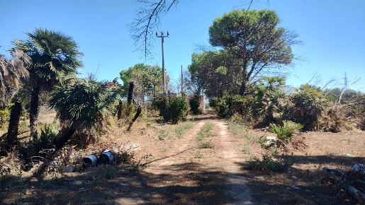 Foto Terreno agricolo a Barletta Montaltino - Canne di 17000 m² in vendita