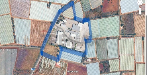 Foto Capannone industriale in Strada Provinciale 94 Casamassima, Noicattaro