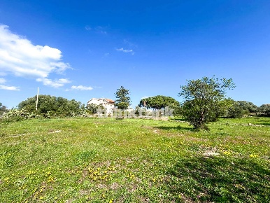 Foto Terreno residenziale in Contrada Serpaolo, Augusta Centro di 3500 m²