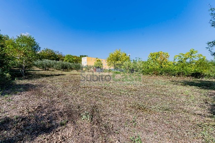 Foto Terreno agricolo in Via Pignatelli, Cepagatti di 2000 m² in vendita