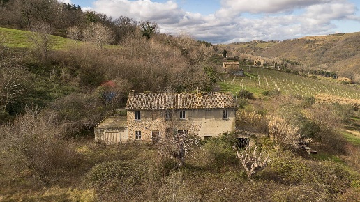 immagine annuncio 1 di 14