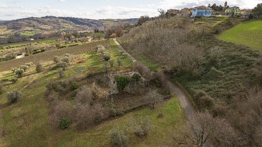 immagine annuncio 6 di 14