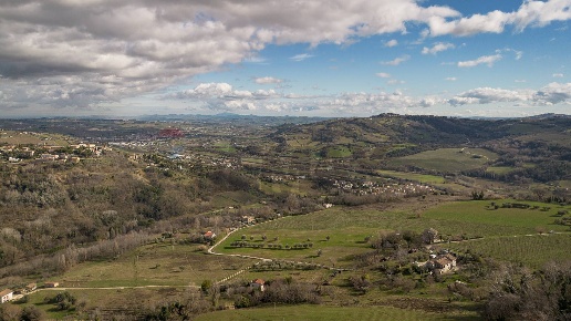 immagine annuncio 11 di 14