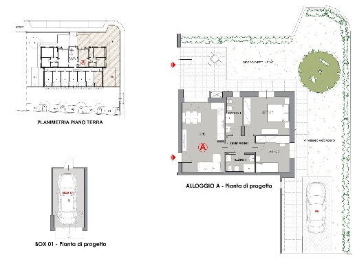 immagine annuncio 1 di 15