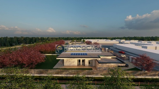 immagine annuncio 8 di 12