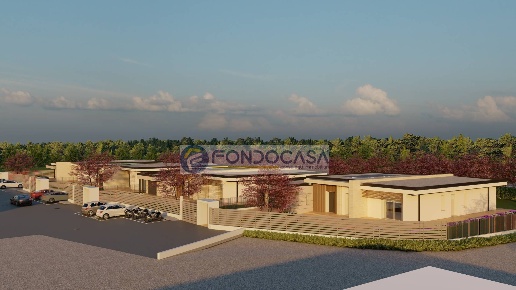 immagine annuncio 9 di 12