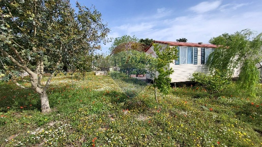 Foto Terreno agricolo a Ragusa Centro di 1047 m² in vendita