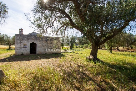 Foto Rustico a Latiano di 45 m² con 1 locali in vendita