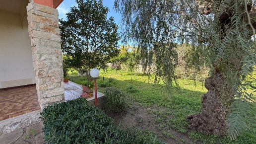 immagine annuncio 6 di 14