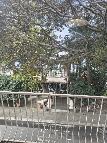 Foto Appartamento in Via Zaleuco, Reggio di Calabria Centro Storico