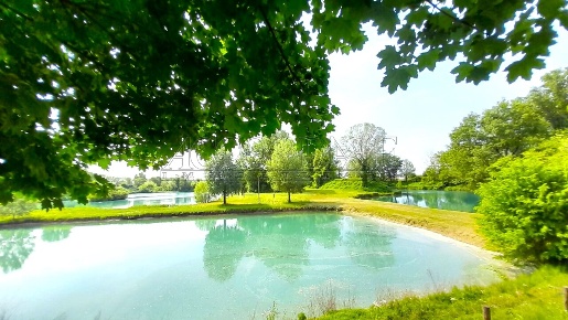 Foto Attività commerciale in Via Riccardo Riporti 8, Piazzola sul Brenta